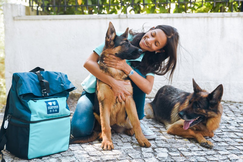 Certificado Veterinário